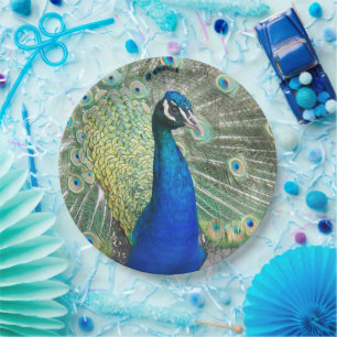 Blue Peacock Feather Plumage Foto Papieren Bordje