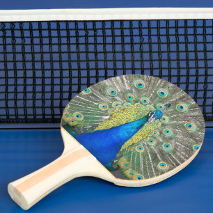Blue Peacock Feather Plumage Foto Tafeltennisbatje