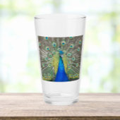 Blue Peacock Feather Plumage Glas