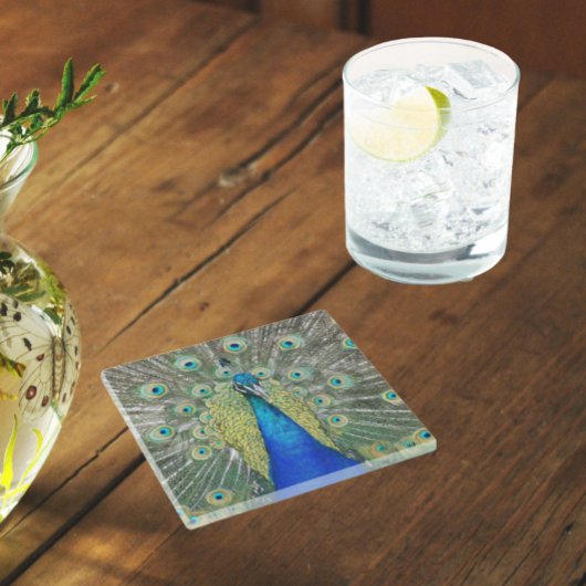Blue Peacock Feather Plumage Glazen Onderzetter