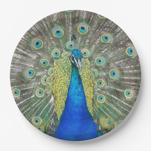 Blue Peacock Feather Plumage Papieren Bordje (Voorkant)