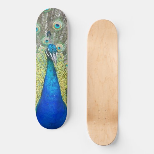 Blue Peacock Feather Plumage Skateboard (Voorkant)