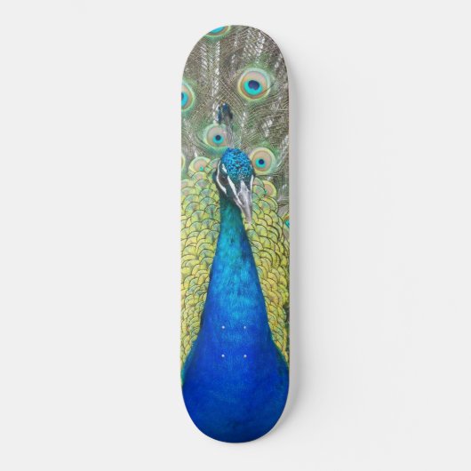 Blue Peacock Feather Plumage Skateboard (Voorkant)