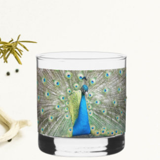 Blue Peacock Feather Plumage Whisky Glas