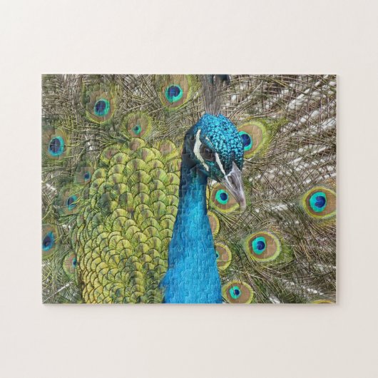Blue Peacock Puzzle Legpuzzel (Horizontaal)