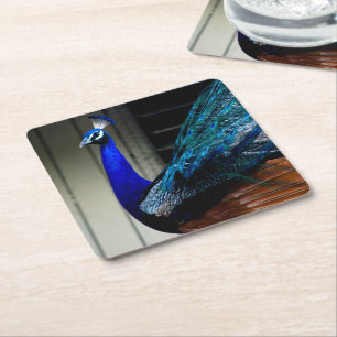 Blue Peacock Vierkante Kartonnen Onderzetter