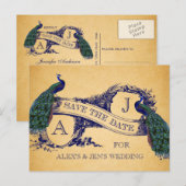 Blue Peacock Vintage Enregistrer la date Carte pos (Devant / Derrière)