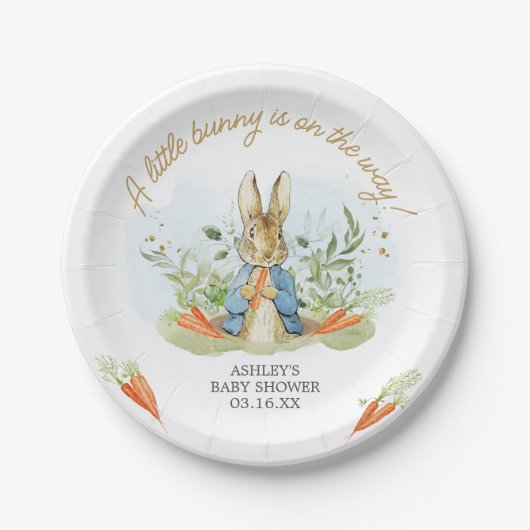 Blue Peter Rabbit Baby shower Papieren Bordje (Voorkant)