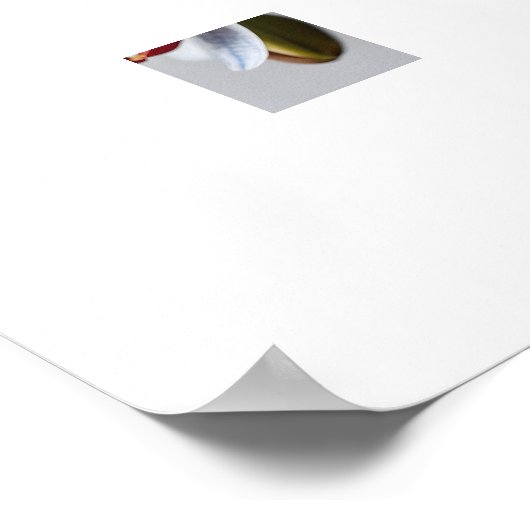 Blue Phalaenopsis Orchids Art Prints (Hoek)