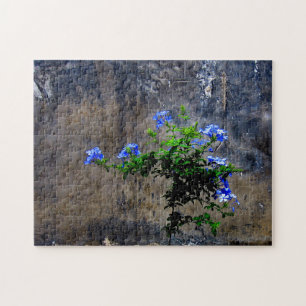 Blue Plumbago-ventilator Legpuzzel