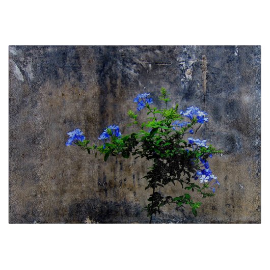 Blue Plumbago-ventilator Snijplank (Voorkant)