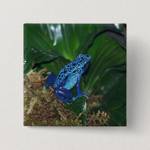 Blue Poison Arrow Frog Portrait Vierkante Button 5,1 Cm
