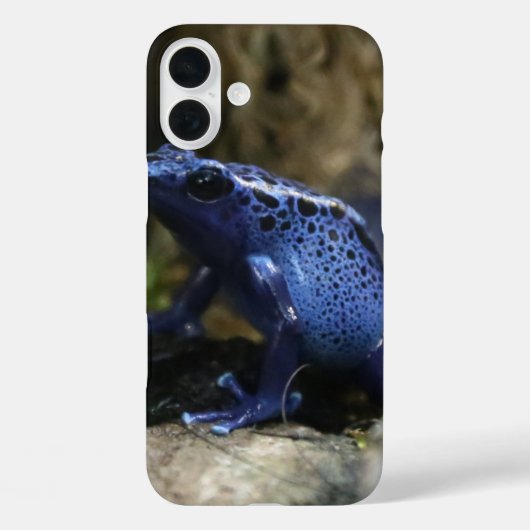 Blue Poison Arrow Kikker Case-Mate iPhone Case (Achterkant)