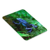 Blue Poison Arrow Kikker Magneet (Rechterzijde)