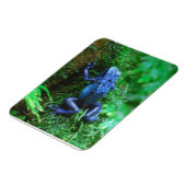 Blue Poison Arrow Kikker Magneet (Linkerzijde)