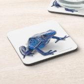 Blue Poison Dart Frog (Dendrobates Tinctorius) Onderzetter (Linkerzijde)