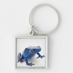 Blue Poison Dart Frog (Dendrobates Tinctorius) Sleutelhanger