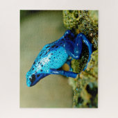 Blue Poison Dart Frog Gros plan, Jigsaw Puzzle (Vertical)
