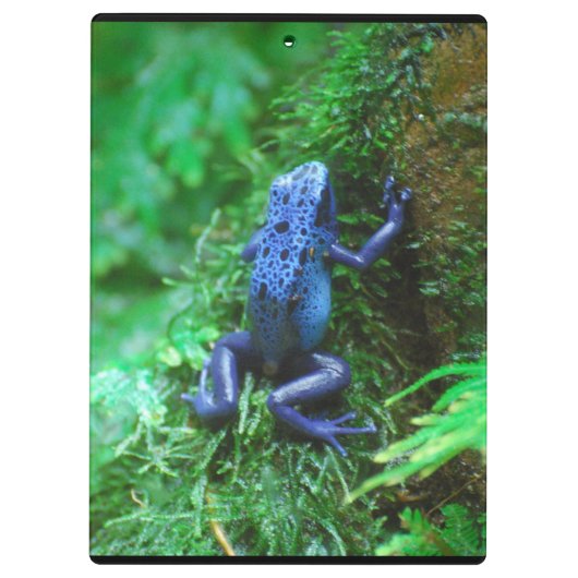 Blue Poison Dart Frog Klembord (Achterkant)
