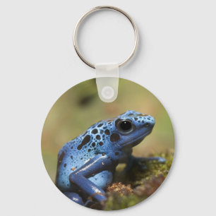 Blue Poison Dart Frog Sleutelhanger