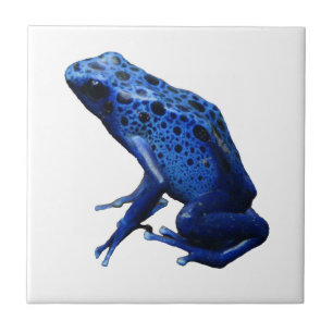 Blue Poison Dart Frog Tegeltje