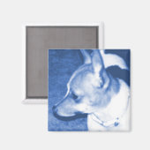 Blue Pop Art Chihuahua Magnet (Recto/Verso)