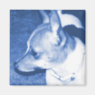 Blue Pop Art Chihuahua Magnet Magneet