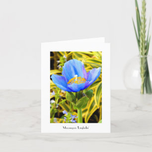 Blue Poppy Folded Note Kaart
