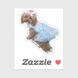 Blue Princess Chiffon: Cute Maltipoo Puppy  Sticker