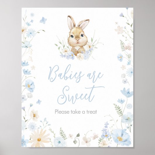 Blue Rabbit Somebunny Baby shower Baby's zijn zoet Poster (Voorkant)