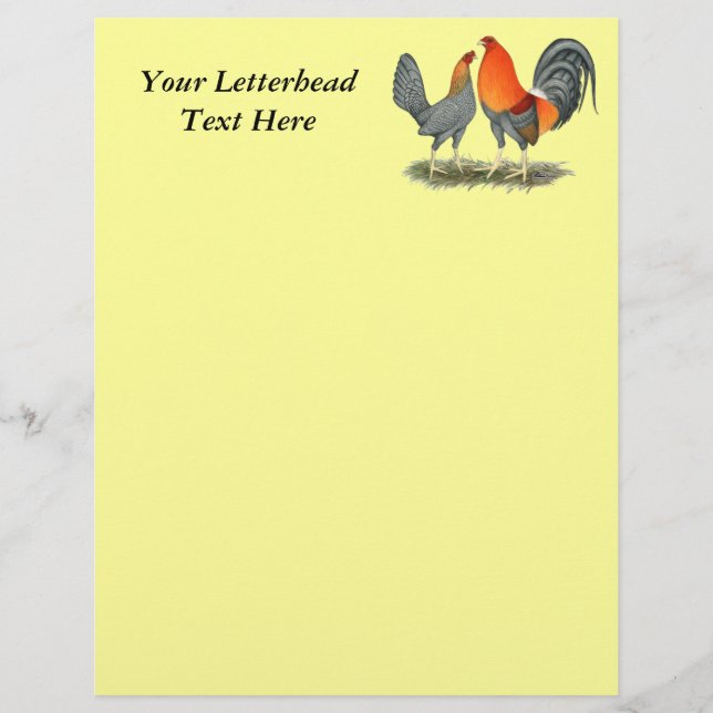 Blue Red Gamefowl (Voorkant)