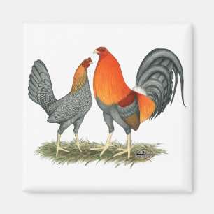 Blue Red Gamefowl Magneet