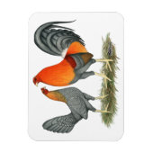 Blue Red Gamefowl Magneet (Verticaal)