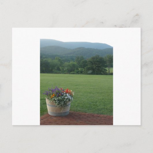 Blue Ridge Flowers Briefkaart (Voorkant)