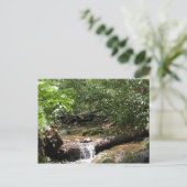 Blue Ridge Mountain Creek Briefkaart (Staand voorkant)