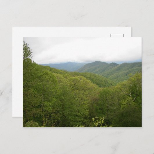 Blue Ridge Mountains, North Carolina Briefkaart (Voorkant / Achterkant)