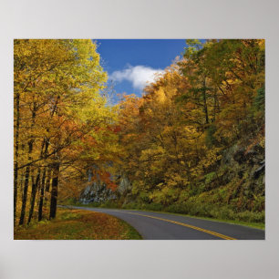 Blue Ridge Parkway die door herfstkleuren stroomt Poster