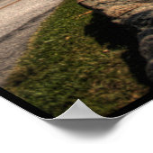 Blue Ridge Parkway HDR Poster (Hoek)