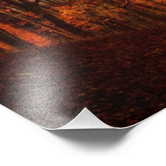 Blue Ridge Parkway Herfst Foto Afdruk (Hoek)