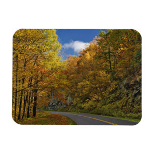 Blue Ridge Parkway kronkelend door herfstkleuren Magneet