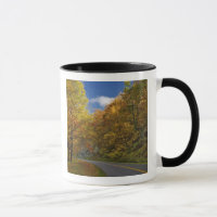 Blue Ridge Parkway kronkelend door herfstkleuren