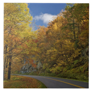 Blue Ridge Parkway kronkelend door herfstkleuren Tegeltje