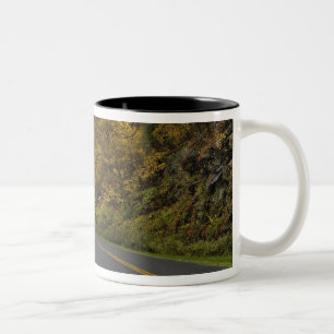 Blue Ridge Parkway kronkelend door herfstkleuren Tweekleurige Koffiemok