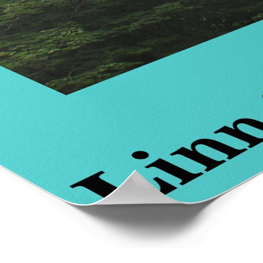 Blue Ridge Parkway Linn Cove Viaduct Poster (Hoek)