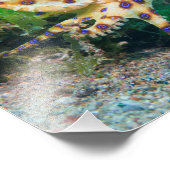 Blue Ring Octopus Photo Print Foto Afdruk (Hoek)