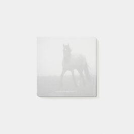Blue Roan Mist - 3" x 3" Notes
