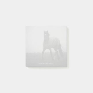 Blue Roan Mist - 3" x 3" Notes