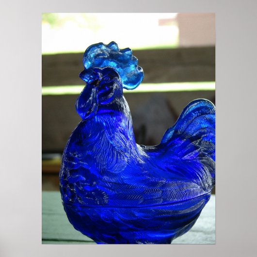 Blue Roo Poster (Voorkant)