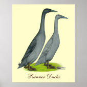 Blue Runner Ducks Poster (Voorkant)