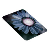 Blue Rustic Daisy Flexible Photo Magnet (Côté Droit)